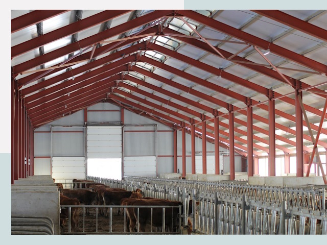 Строительство коровников в Хабаровске